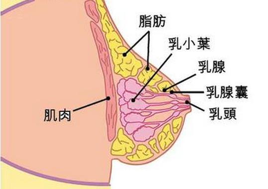 u=4149912659,339675543&fm=214&gp=0.jpg